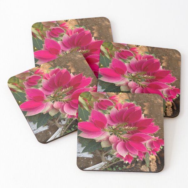 Item preview, Poinsettia Flower Plant designed and sold by Capture  Room.