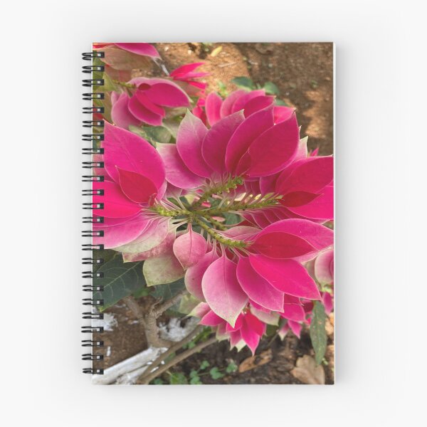 Item preview, Poinsettia Flower Plant designed and sold by Capture  Room.