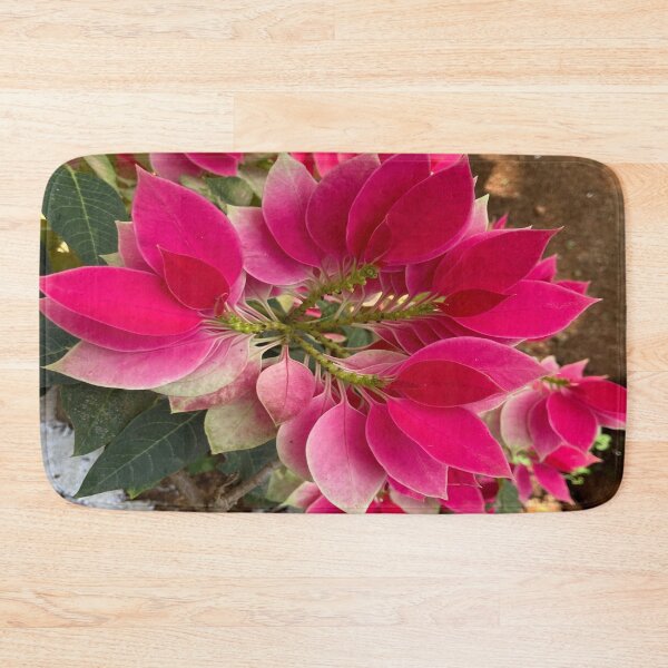 Item preview, Poinsettia Flower Plant designed and sold by Capture  Room.