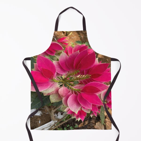 Item preview, Poinsettia Flower Plant designed and sold by Capture Room.