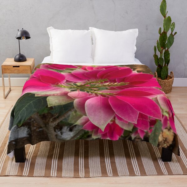 Item preview, Poinsettia Flower Plant designed and sold by Capture  Room.
