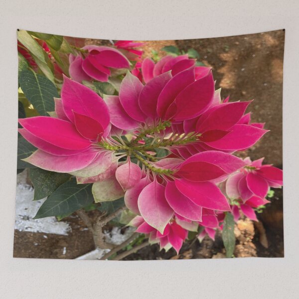 Item preview, Poinsettia Flower Plant designed and sold by Capture  Room.