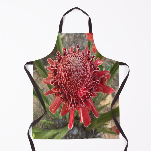 Item preview, Etlingera designed and sold by Capture Room.