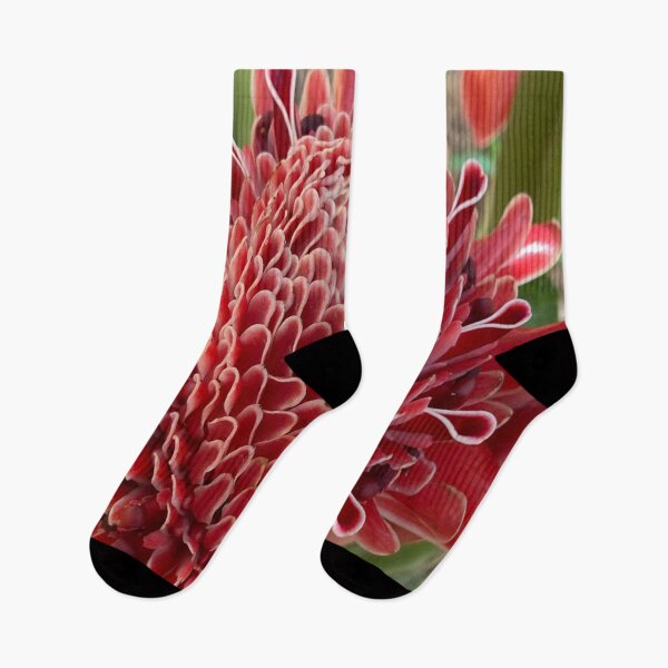 Item preview, Etlingera designed and sold by Capture  Room.