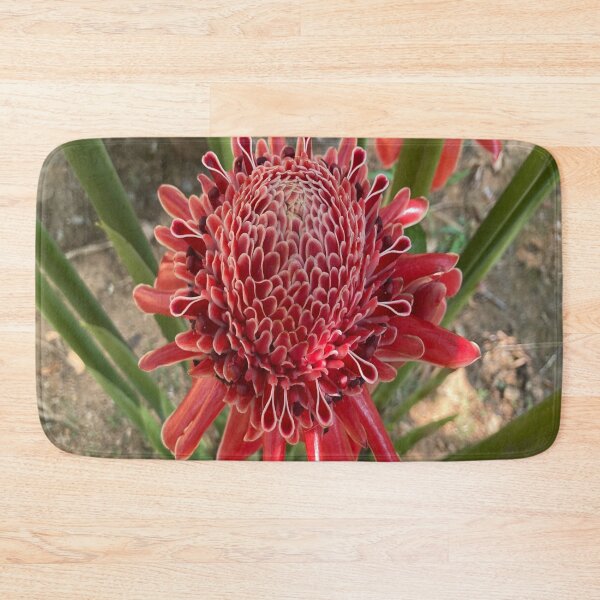 Item preview, Etlingera designed and sold by Capture  Room.