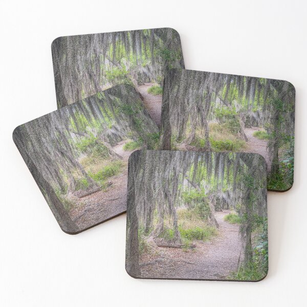 Item preview, Hiking Trail in Santa Ana NWR designed and sold by Debra Martz.