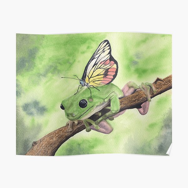 "Frog and Butterfly " Poster for Sale by HeartwoodStudio Redbubble