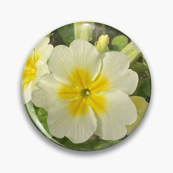 Item preview, Primrose Lemon Primula designed and sold by OByD.
