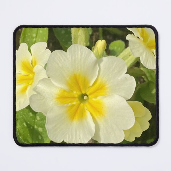 Item preview, Primrose Lemon Primula designed and sold by OByD.