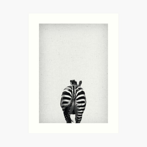 Zebra 07 Kunstdruck