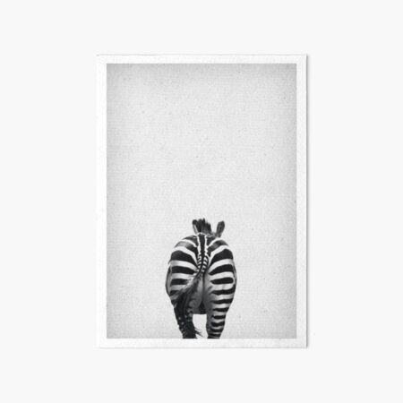 Zebra 07 Galeriedruck