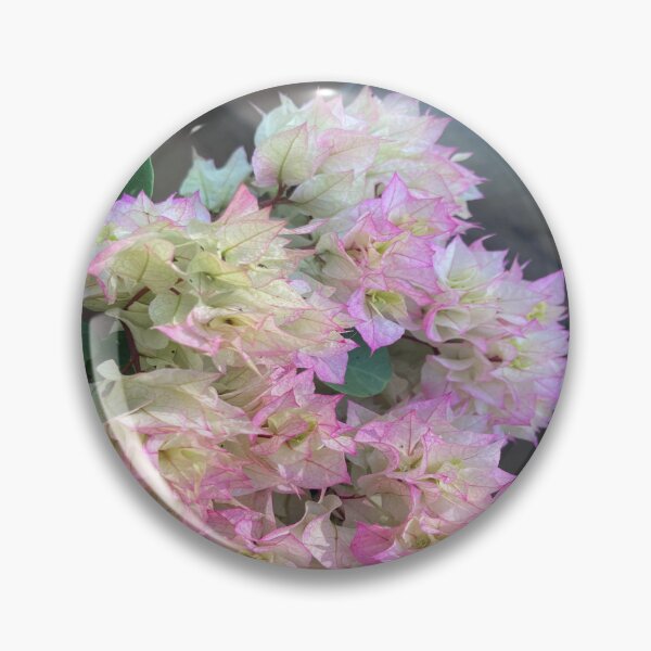 Item preview, Bougainvillea Plant designed and sold by Capture  Room.