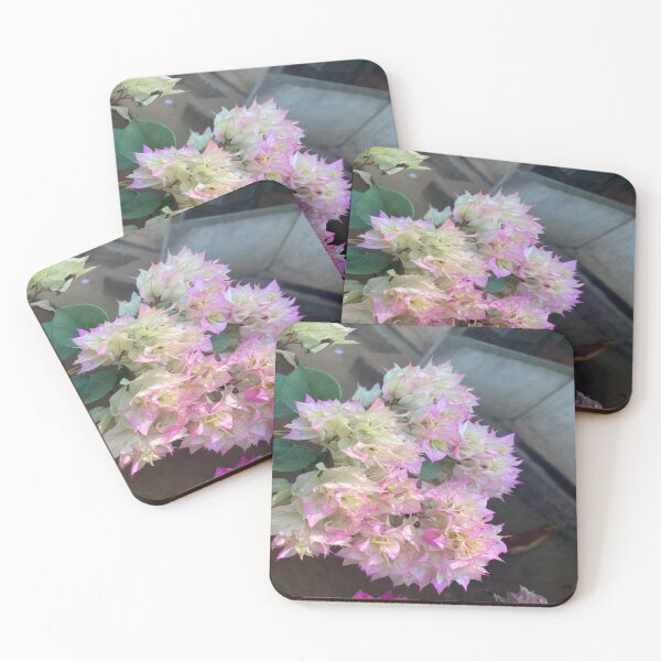 Item preview, Bougainvillea Plant designed and sold by Capture  Room.