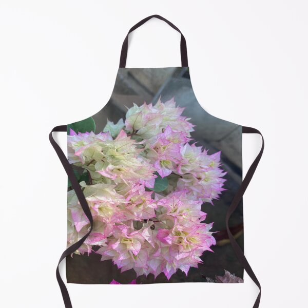 Item preview, Bougainvillea Plant designed and sold by Capture Room.