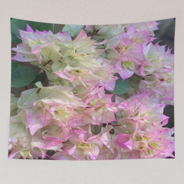 Item preview, Bougainvillea Plant designed and sold by Capture  Room.