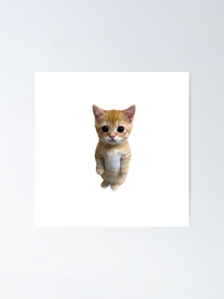 el-gato-tiktok-meme-poster-for-sale-by-riv0x-redbubble