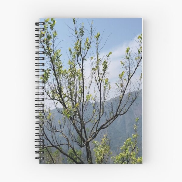 Item preview, Kerala Landscape Idukki designed and sold by Capture  Room.