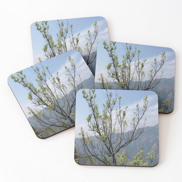 Item preview, Kerala Landscape Idukki designed and sold by Capture  Room.