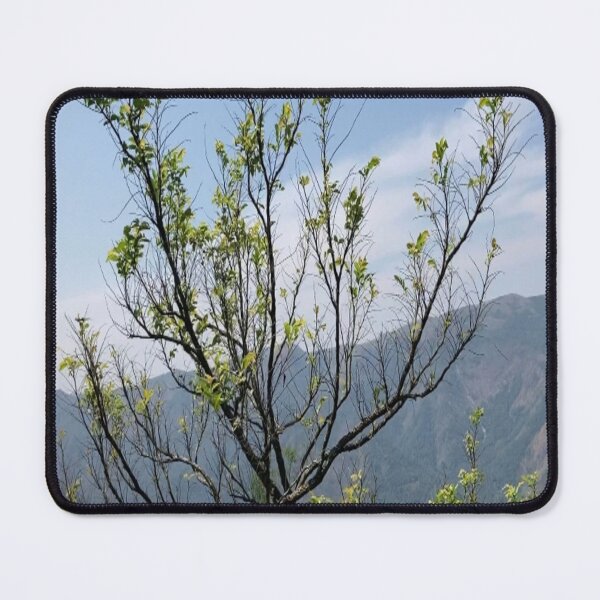 Item preview, Kerala Landscape Idukki designed and sold by Capture  Room.