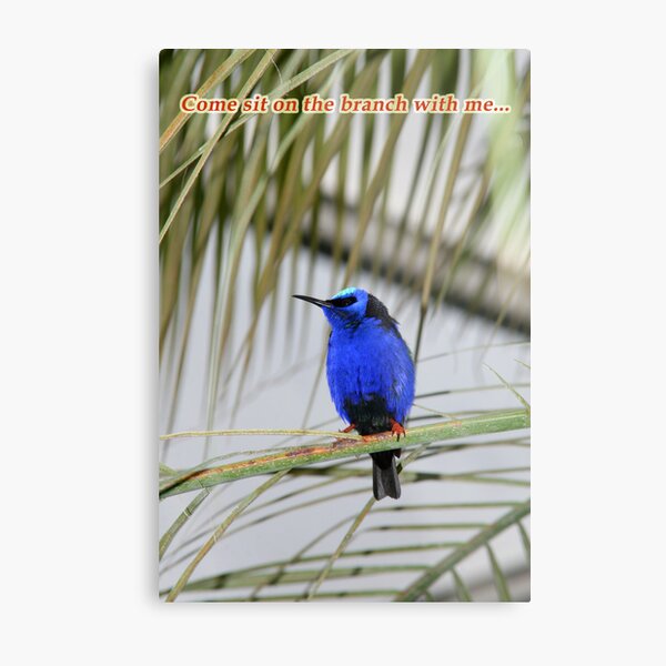A little lonely? Metal Print