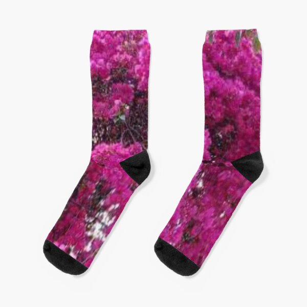Bougainvillea Socks for Sale | Redbubble