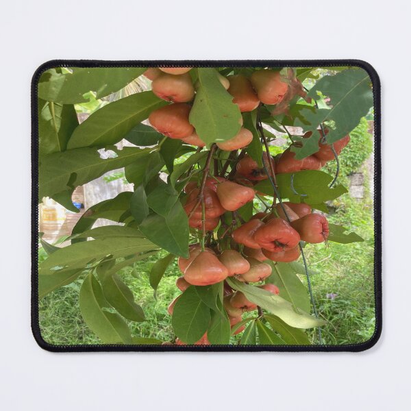 Item preview, Wax Apple designed and sold by Capture  Room.