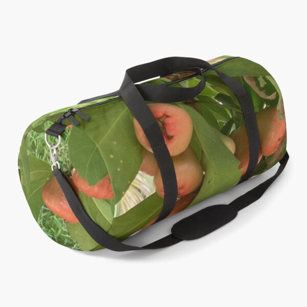 Item preview, Wax Apple designed and sold by Capture Room.