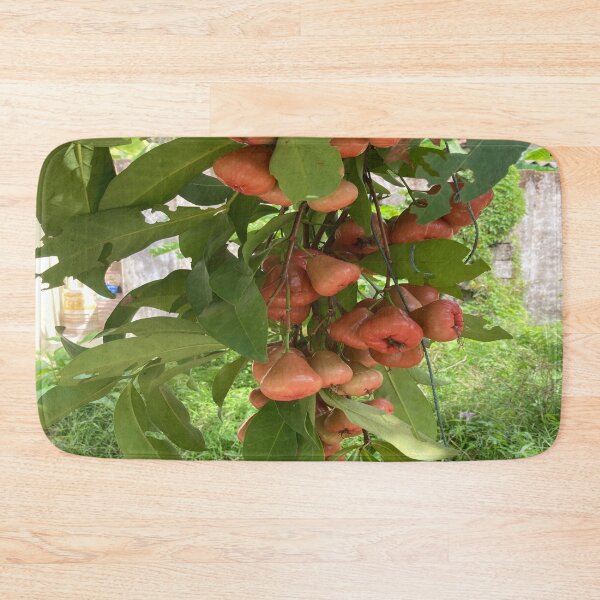 Item preview, Wax Apple designed and sold by Capture  Room.