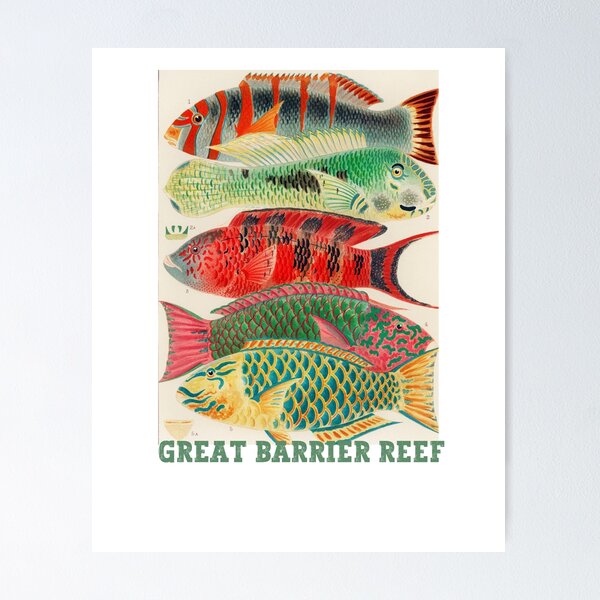 Item preview, Great Barrier Reef designed and sold by ankerettich.
