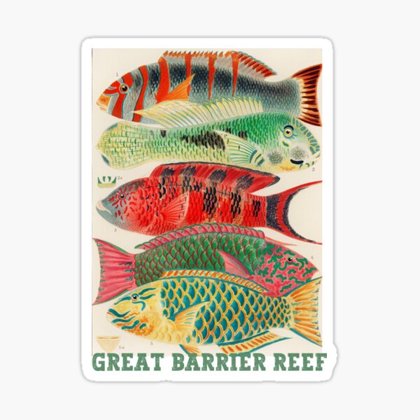 Item preview, Great Barrier Reef designed and sold by ankerettich.