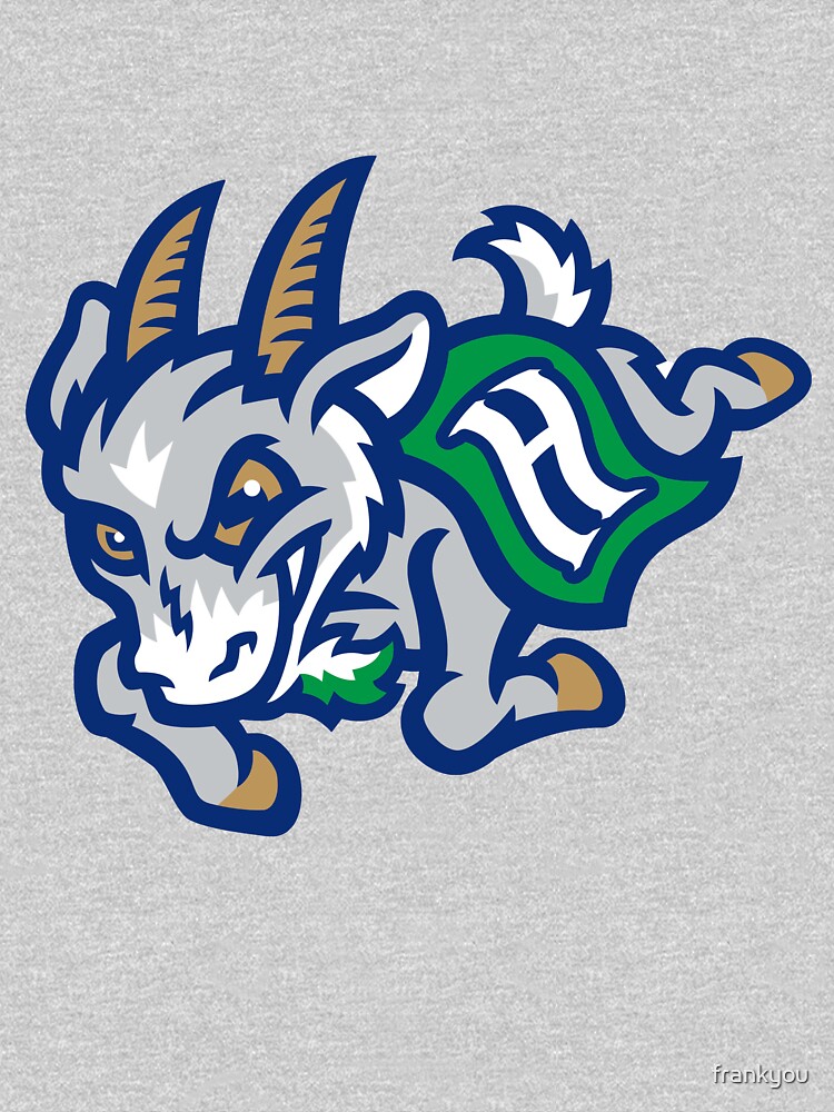 Hartford Yard Goats Long Sleeve Baseball T-Shirt - Royal/Heathered Gray