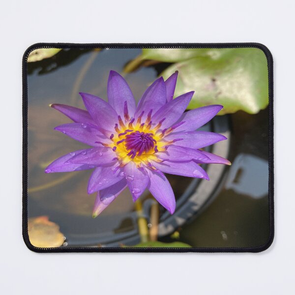 Item preview, Nymphaea - Indian Water Lily designed and sold by Capture Room.
