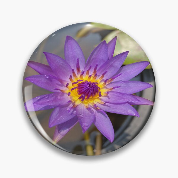 Item preview, Nymphaea - Indian Water Lily designed and sold by Capture  Room.