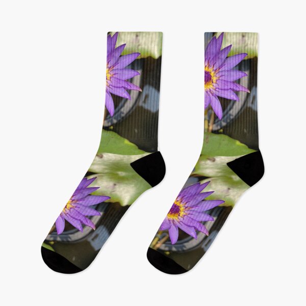 Item preview, Nymphaea - Indian Water Lily designed and sold by Capture  Room.