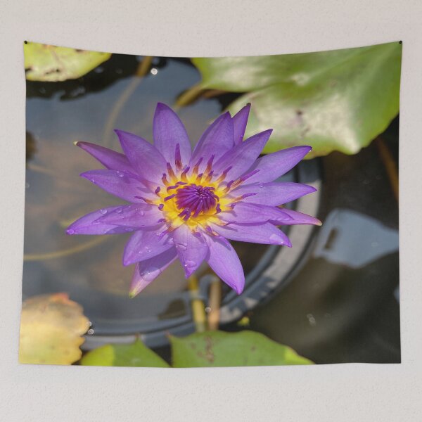 Item preview, Nymphaea - Indian Water Lily designed and sold by Capture  Room.