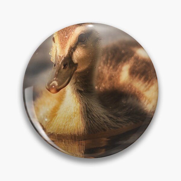 Item preview, Water drops on duckling designed and sold by Yannik Hay.