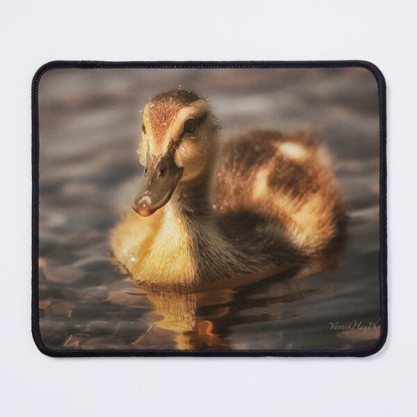 Item preview, Water drops on duckling designed and sold by Yannik Hay.