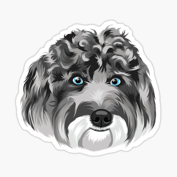 Grey Labradoodle Golden doodle Dog Sticker