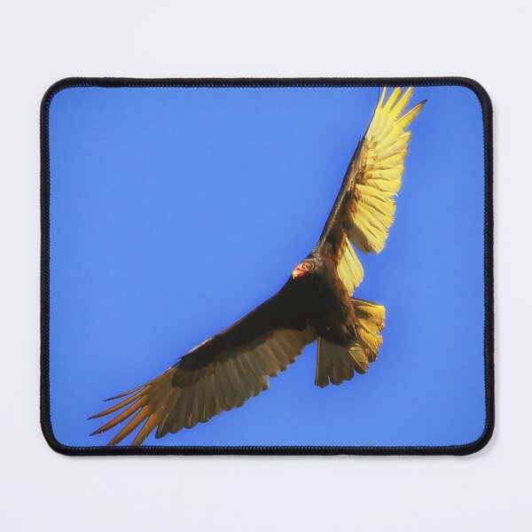 Item preview, Turkey Vulture - Urubu à Tête Rouge designed and sold by Yannik Hay.