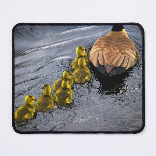 Item preview, Canada Goose and Gosling designed and sold by Yannik Hay.