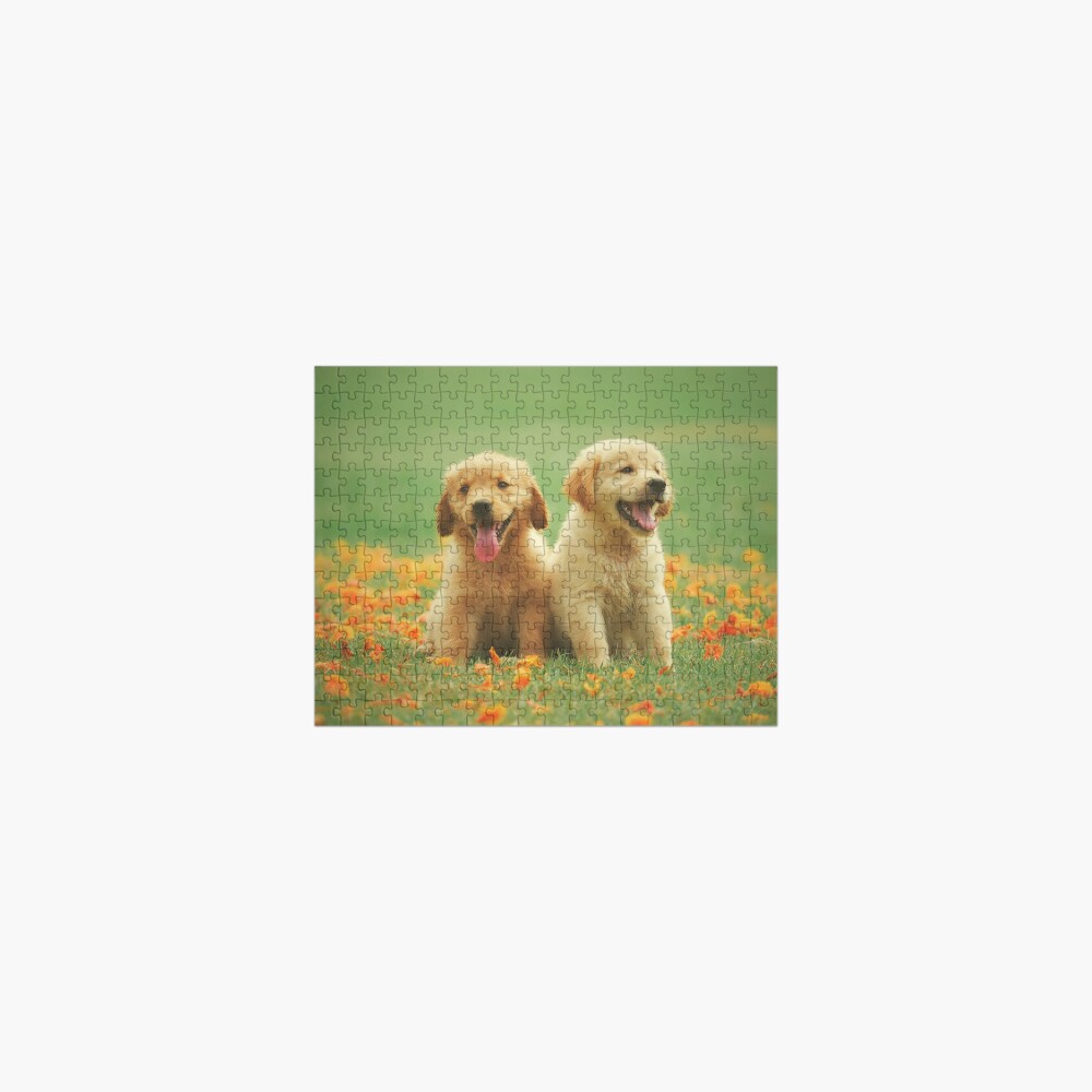 Doge Jigsaw Puzzle