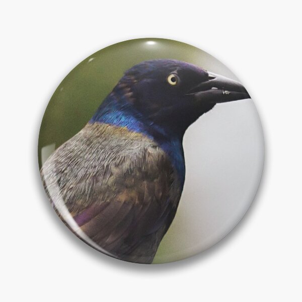 Item preview, Common Grackle designed and sold by Yannik Hay.