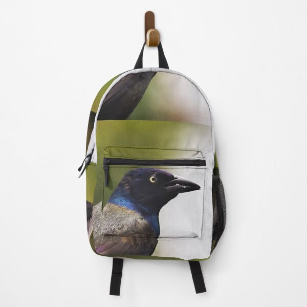 Item preview, Common Grackle designed and sold by Yannik Hay.
