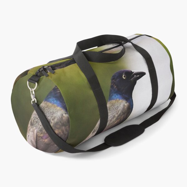 Item preview, Common Grackle designed and sold by Yannik Hay.