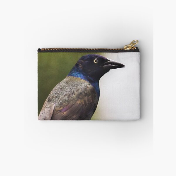 Item preview, Common Grackle designed and sold by Yannik Hay.