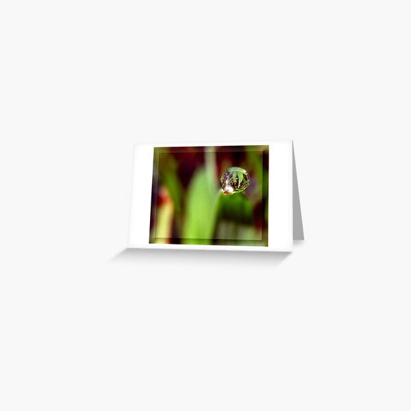 Gentle Rain Greeting Card