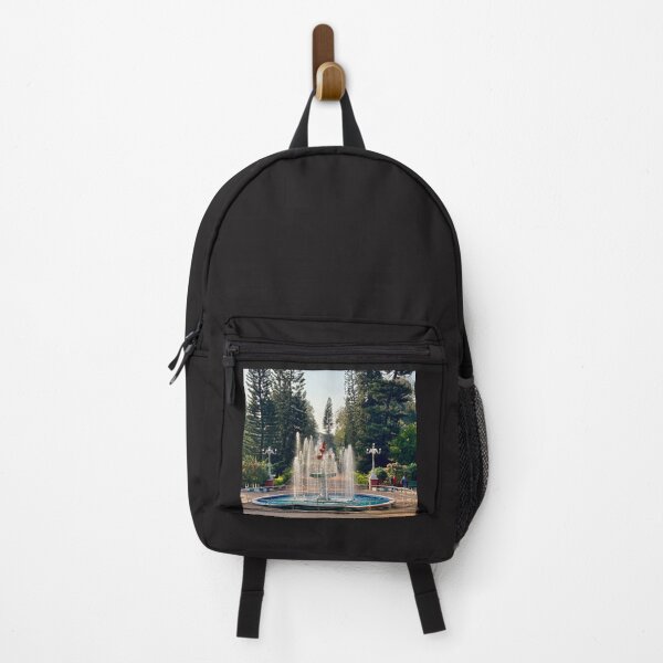 Item preview, Lalbagh Botanical Garden Fountain - Bengaluru designed and sold by Capture Room.