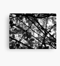 Natural Abstract Canvas Print