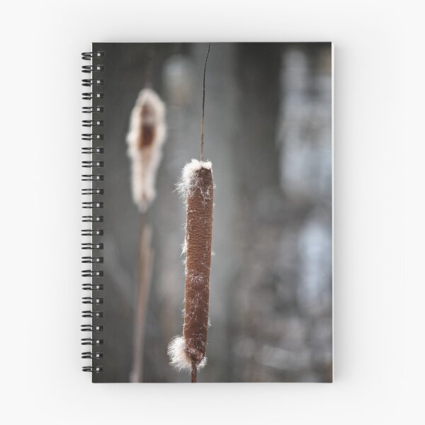 Item preview, Cattails  designed and sold by photoclique.