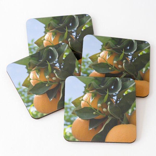 Item preview, Blooming orange tree with white buds, orange blossom in Spain designed and sold by Adriana Mueller.